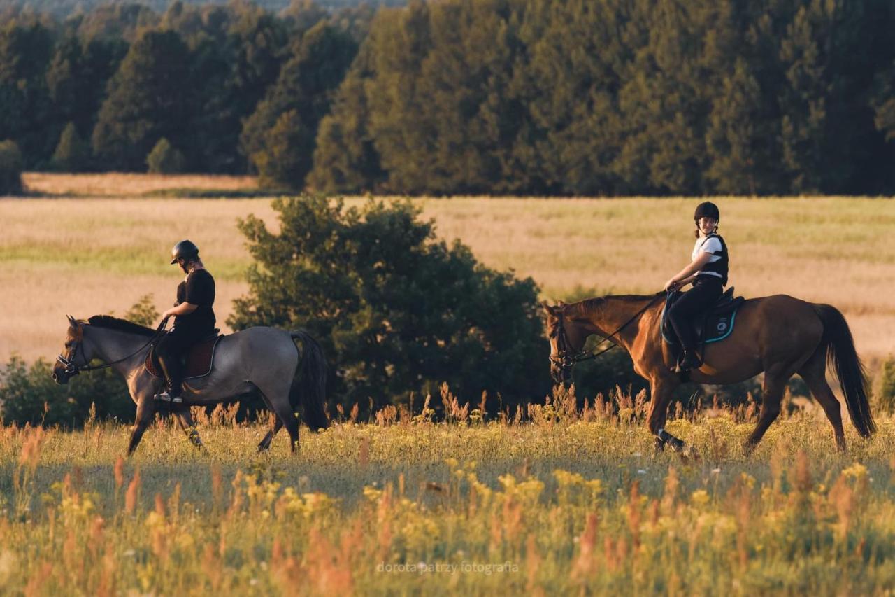 Pod Debami Domki ,Pokoje,Nauka Jazdy Konnej Sarbsk Obok Leby Buitenkant foto