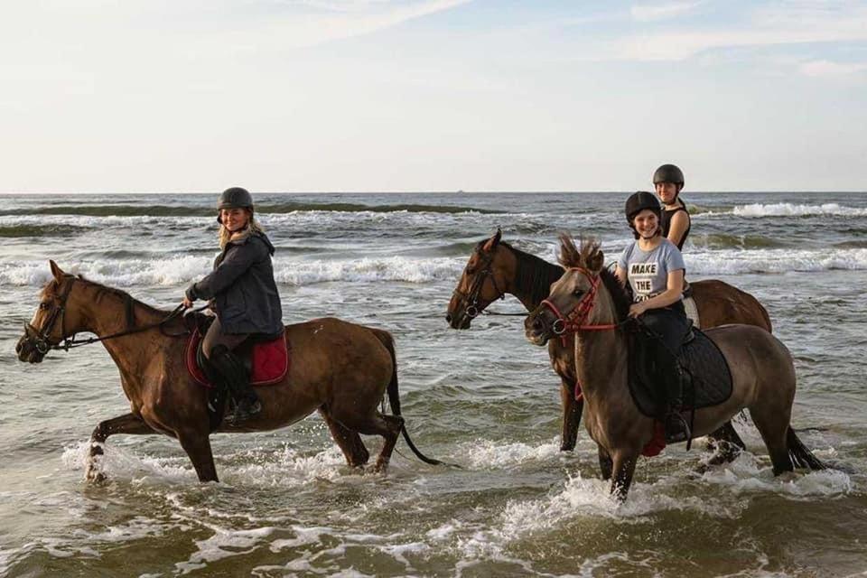 Pod Debami Domki ,Pokoje,Nauka Jazdy Konnej Sarbsk Obok Leby Buitenkant foto