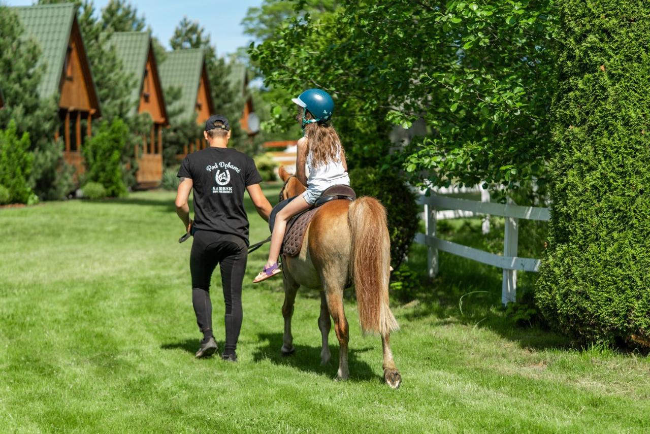 Pod Debami Domki ,Pokoje,Nauka Jazdy Konnej Sarbsk Obok Leby Buitenkant foto