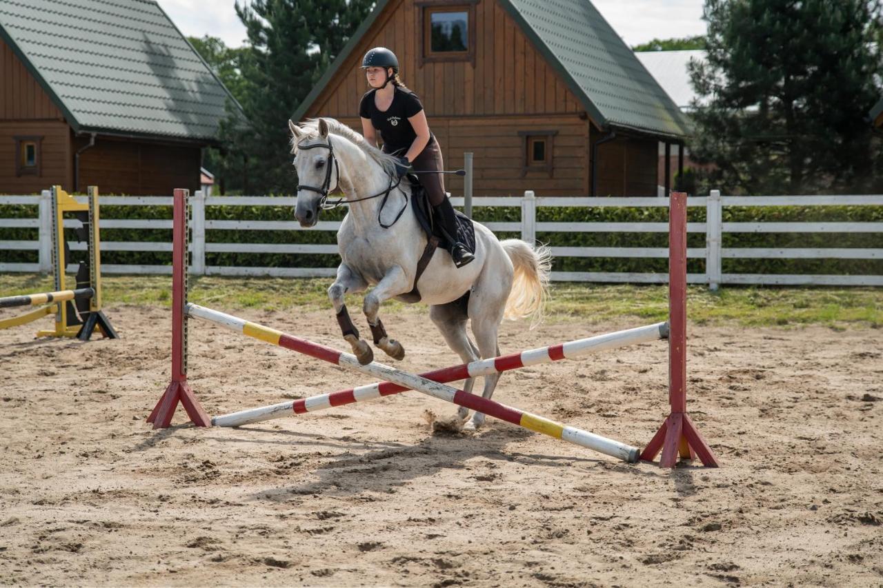 Pod Debami Domki ,Pokoje,Nauka Jazdy Konnej Sarbsk Obok Leby Buitenkant foto