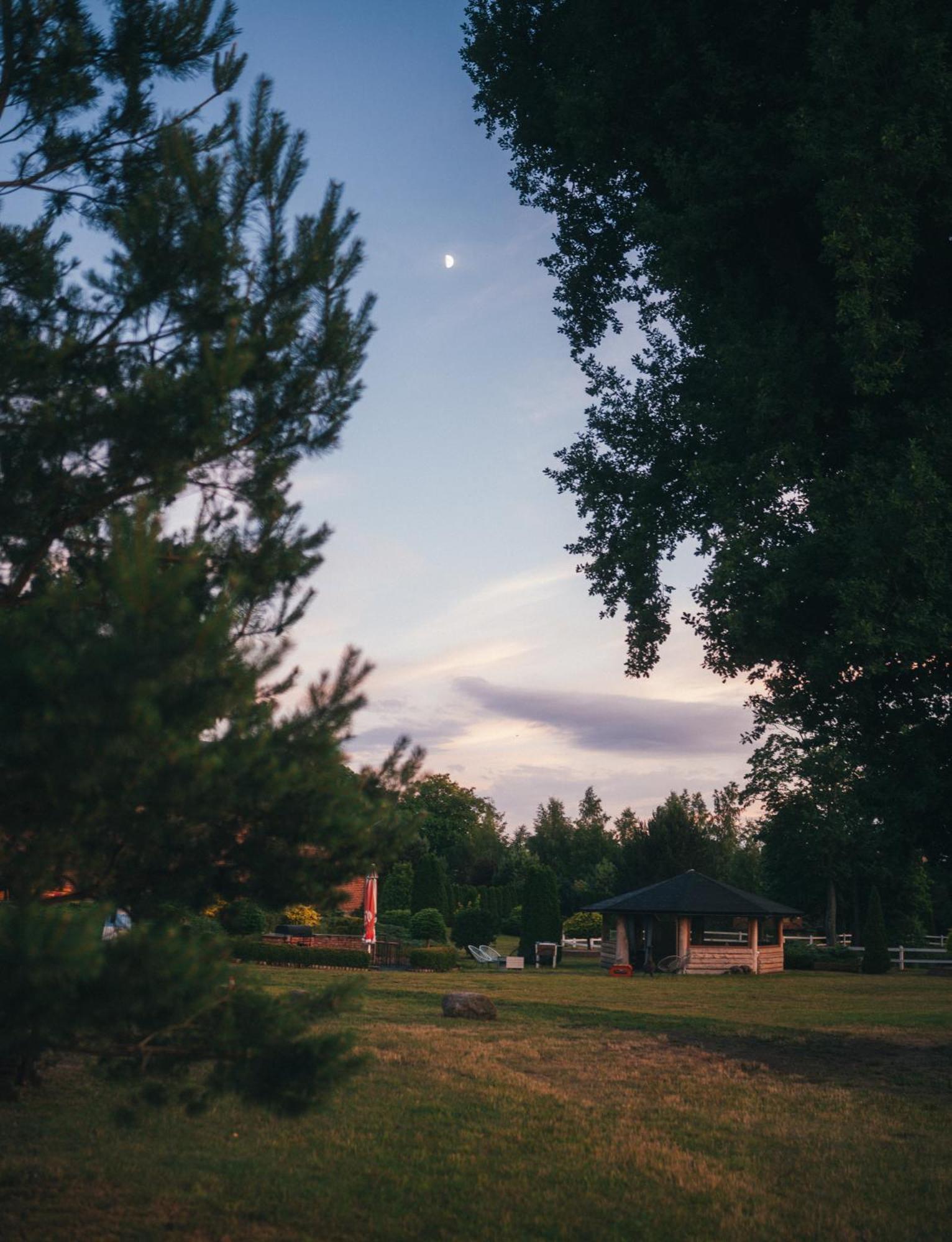 Pod Debami Domki ,Pokoje,Nauka Jazdy Konnej Sarbsk Obok Leby Buitenkant foto